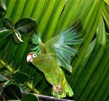 Foto 6